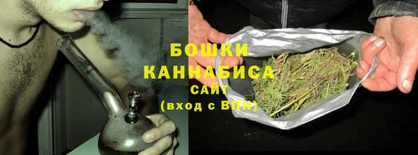 бошки Сатка
