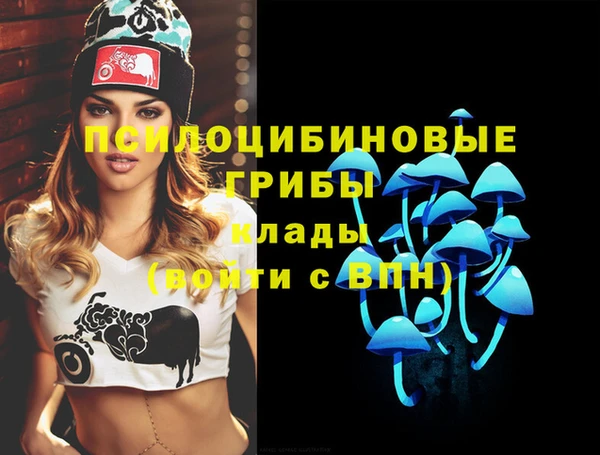 ПСИЛОЦИБИНОВЫЕ ГРИБЫ Сафоново
