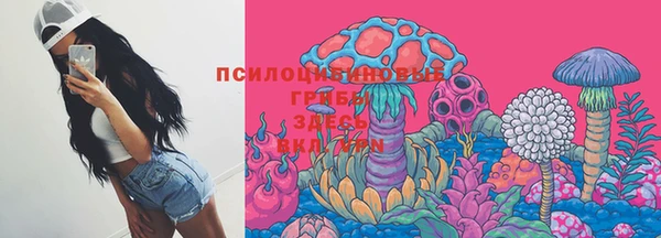 бошки Сатка