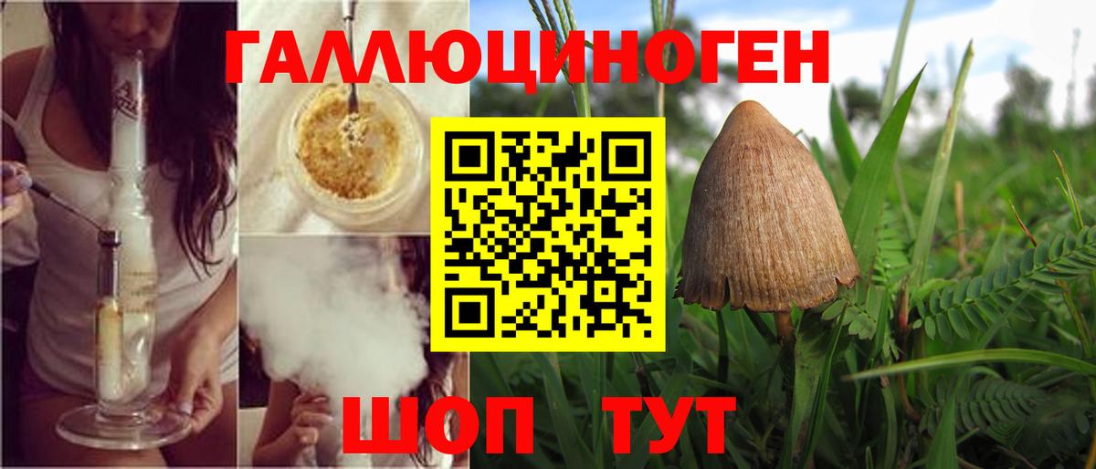 сколько стоит  Вход с VPN  Абинск  Галлюциногенные грибы GOLDEN TEACHER 