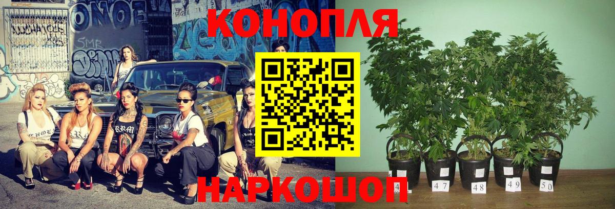 Метамфетамин  ГЕРОИН  Codein  Абинск  LSD-25  Мефедрон   МАРИХУАНА  A PVP СОЛЬ кристаллы  Мефедрон кристаллы  ГАШ 